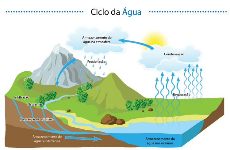 Ciências Da Natureza Resumo Completo Do Ciclo Da Água